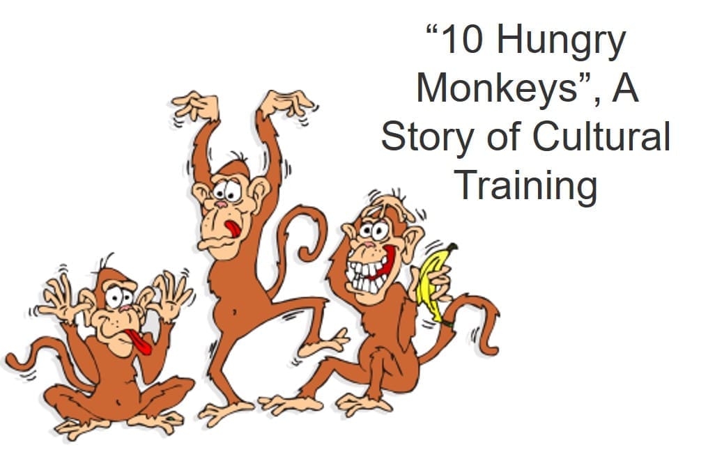 “10 Hungry Monkeys”, A Story of Cultural Training