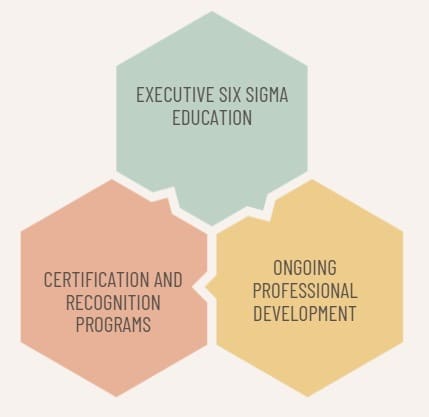 Champion Training and Development Programs