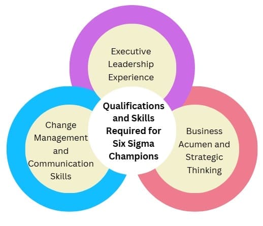 Qualifications and Skills Required for Six Sigma Champions