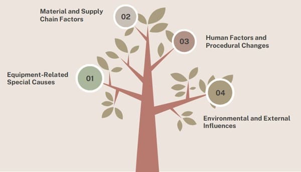 Types and Sources of Special Cause Variation