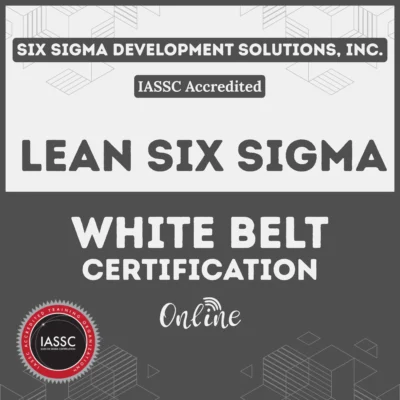 LSS Online White Belt Certification Product Image