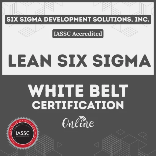 LSS Online White Belt Certification Product Image