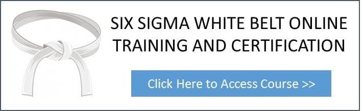 What is a lean six sigma white belt?