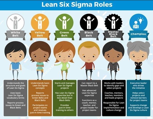 lean six sigma roles