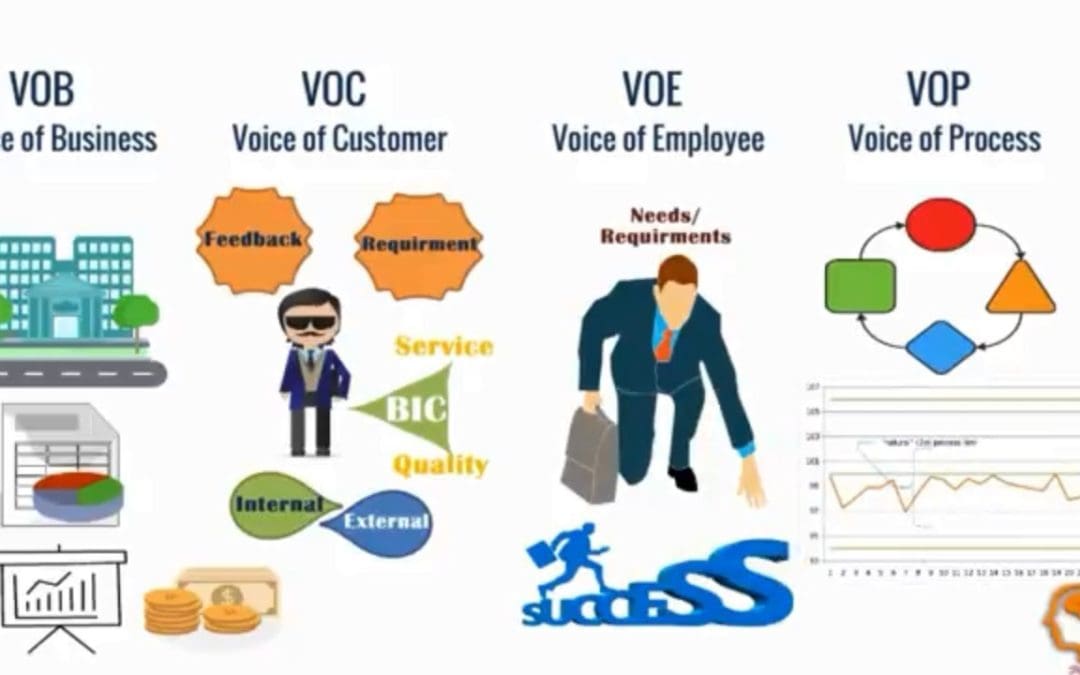 What is the Voice of the Process (VOP)?