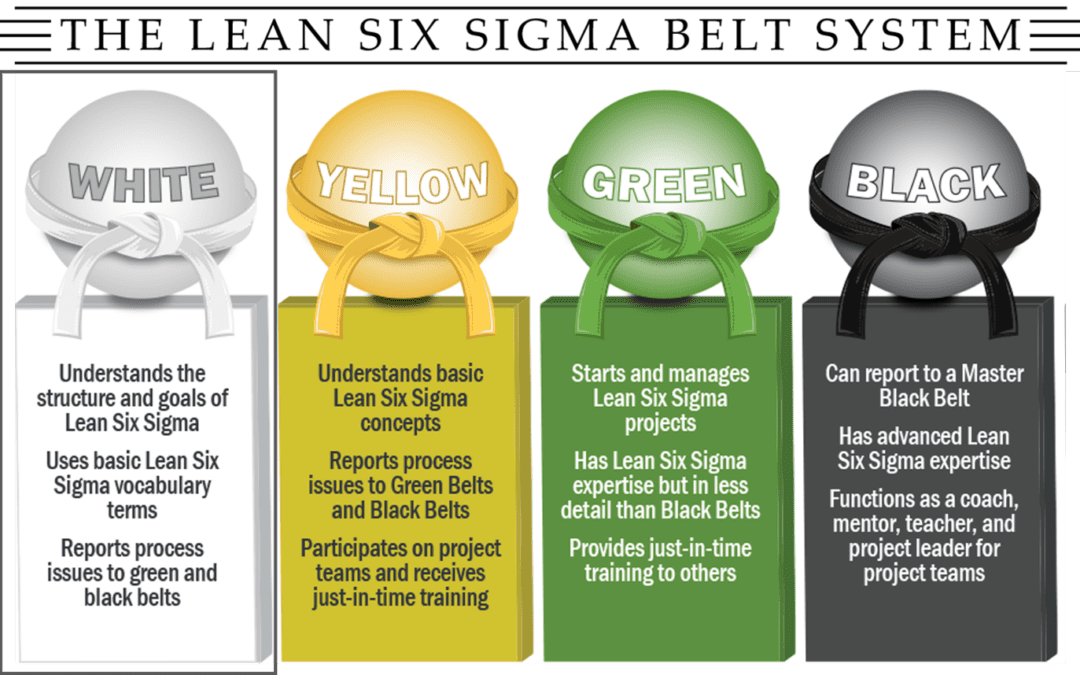 What is a Six Sigma White Belt?