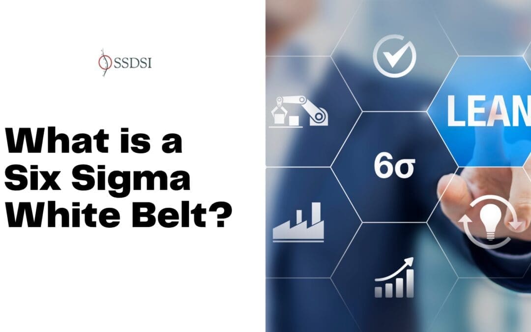 What is a Six Sigma White Belt?