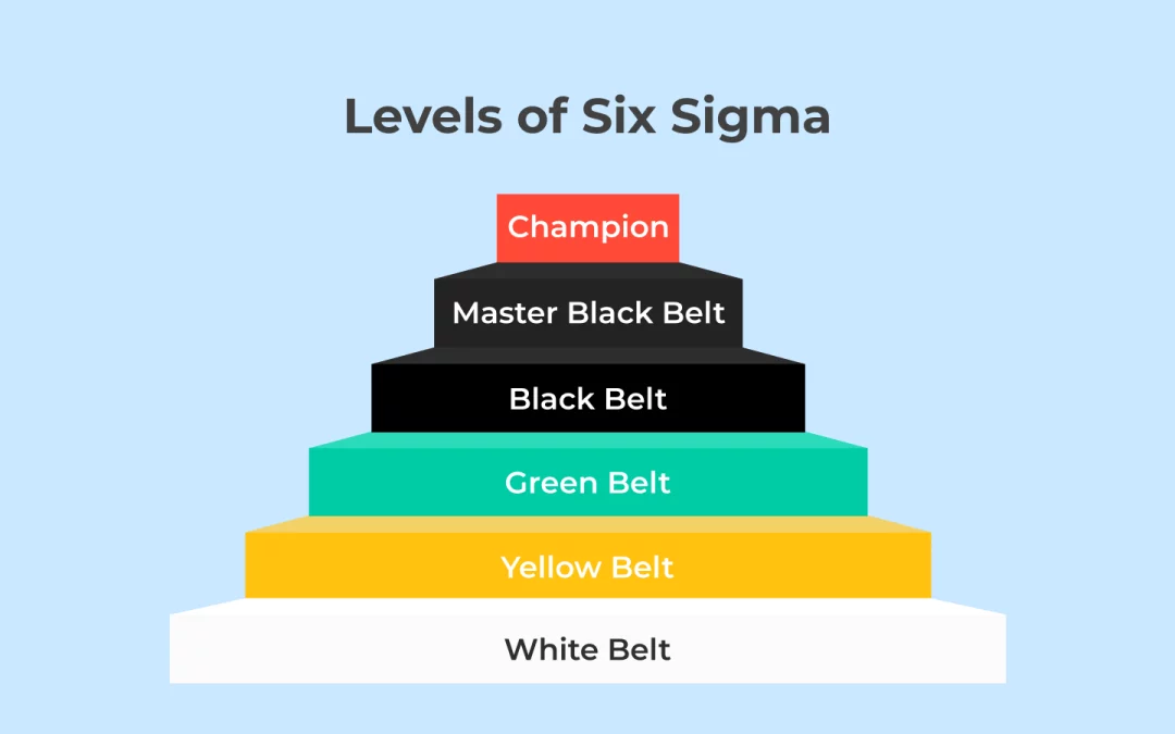Six Sigma Belt Levels Explained