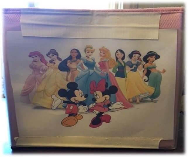 What are the 5s steps in lean?