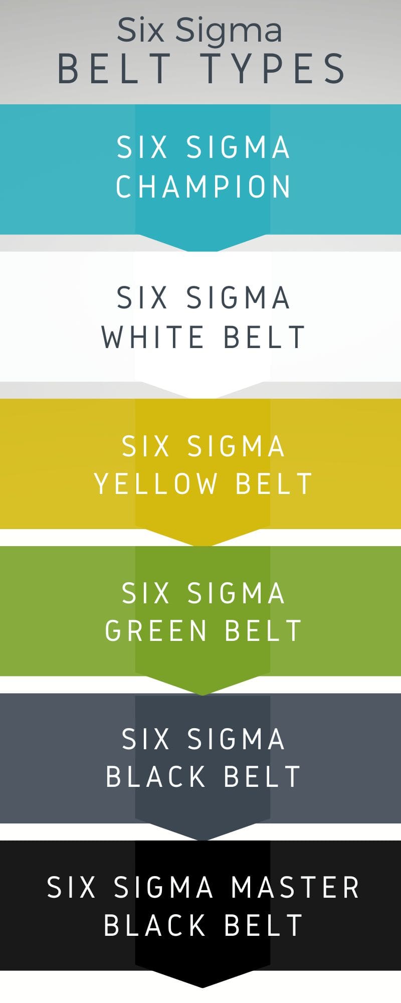 Lean Six Sigma Belts