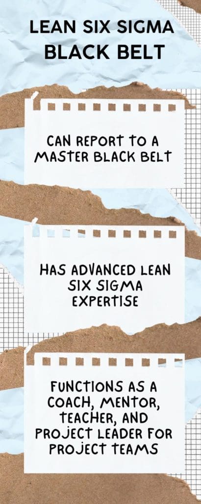 What is a LSSBB (Lean Six Sigma Black Belt)?