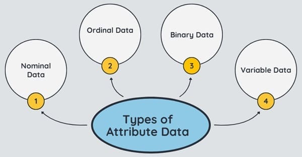Types of Attribute Data