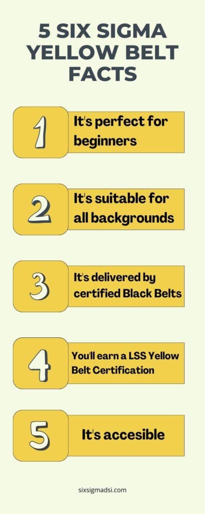 5 Facts About a Lean Six Sigma Yellow Belt Certification' https://sixsigmadsi.com/