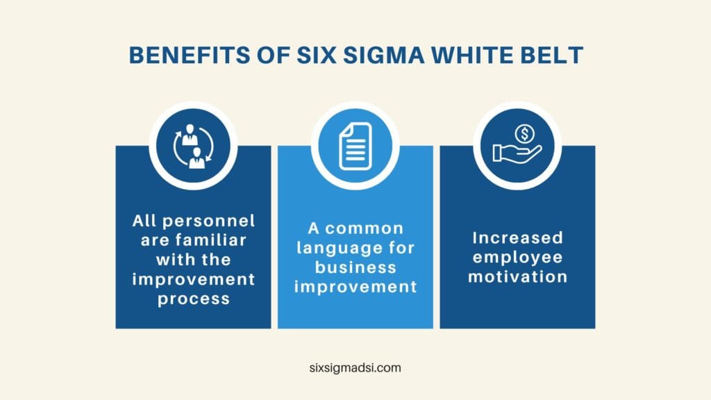 What is White Belt in lean six sigma?