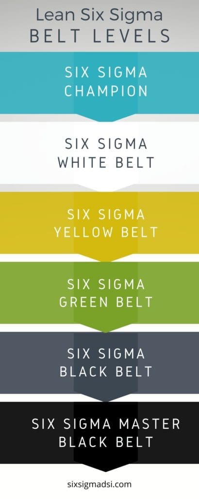 What is the six sigma belt order?