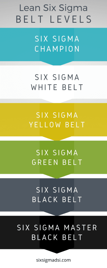 What are the belt levels of Six Sigma certifications?