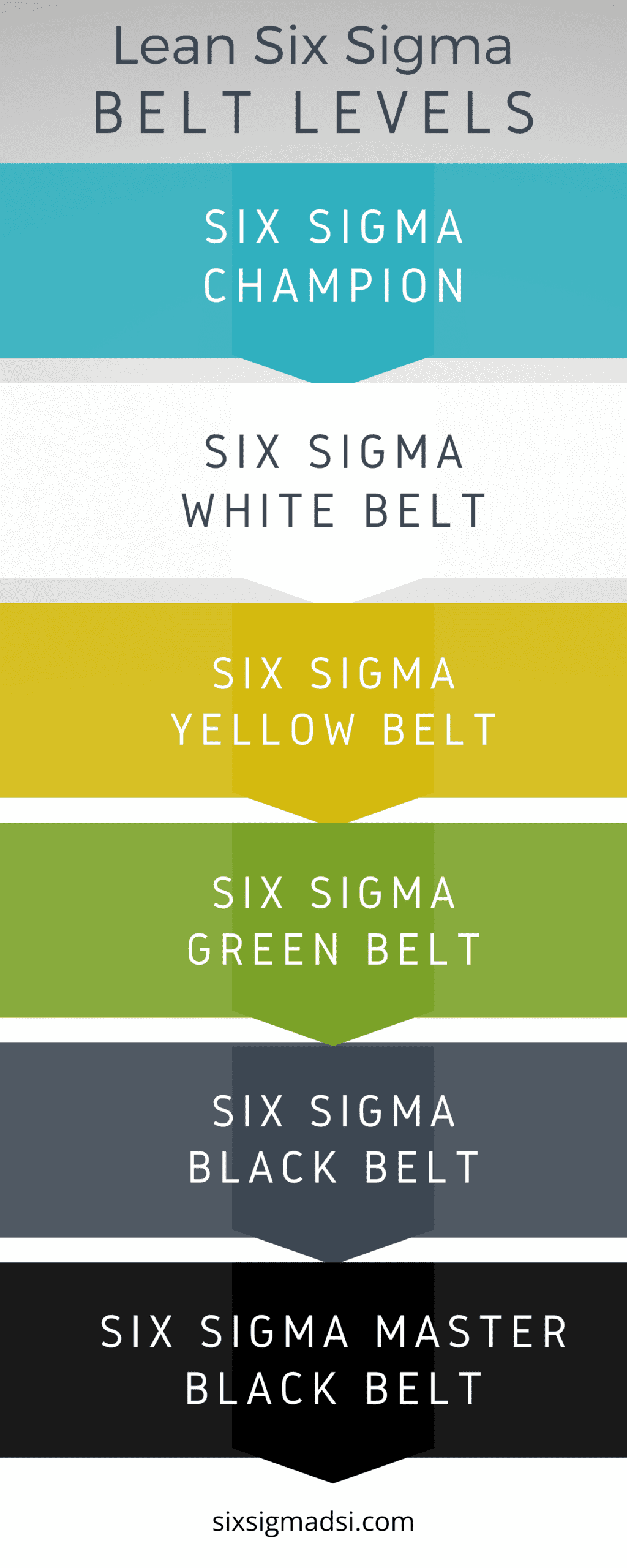Lean Six Sigma Vs PMP Which Is Right For Your Business lean-six-sigma-vs-pmp-which-is-right-for-your-business