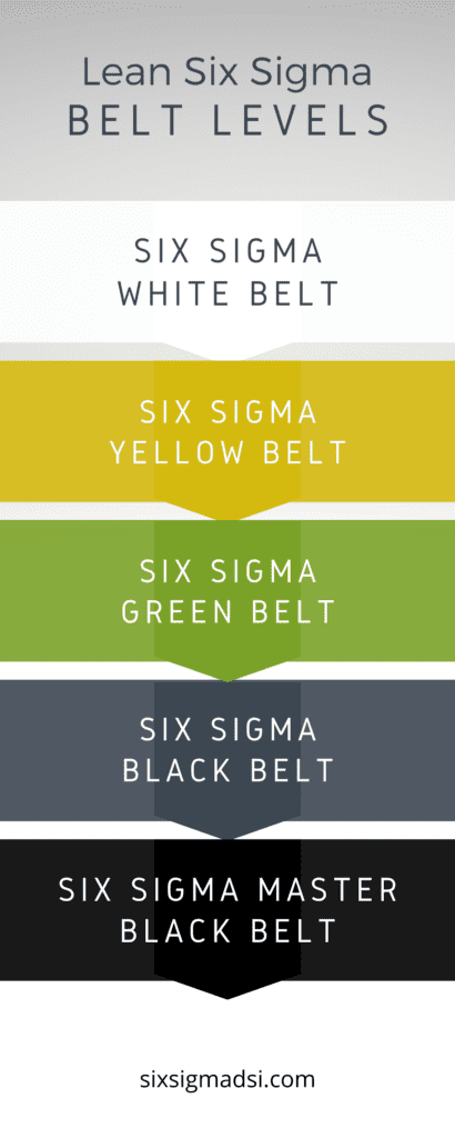 What are certified six sigma belts?