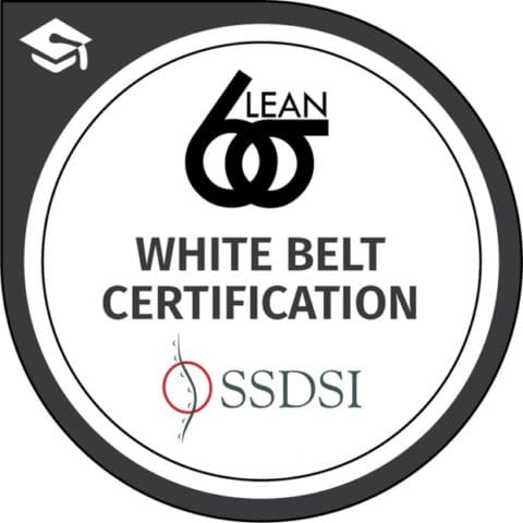 Lean Six Sigma Green Belt project examples - Sixsigma DSI