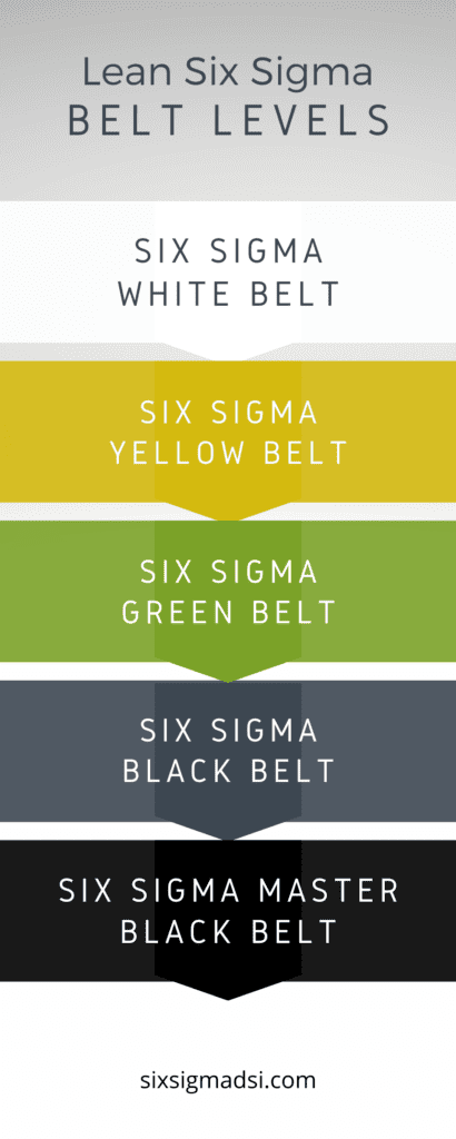 What is the six sigma hierarchy?