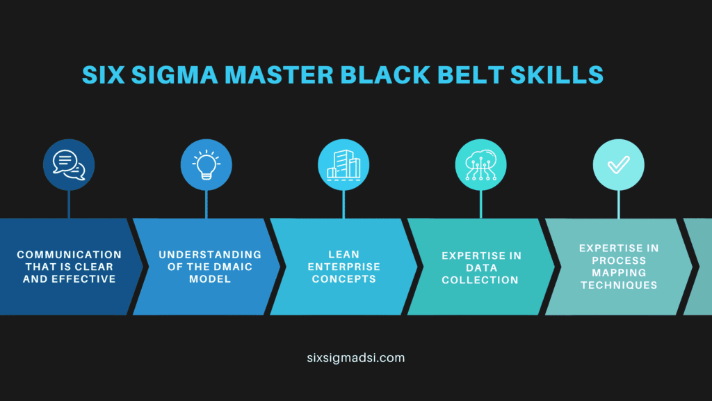 What are the skills of a lean six sigma master black belt certification?