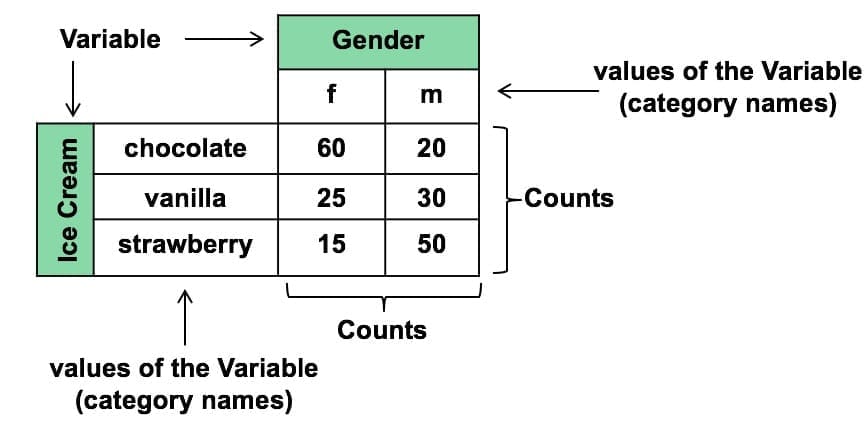 What are variables in statistics?