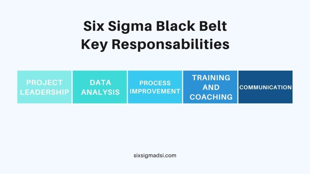 What are the key responsibilities of a Six Sigma Black Belt?