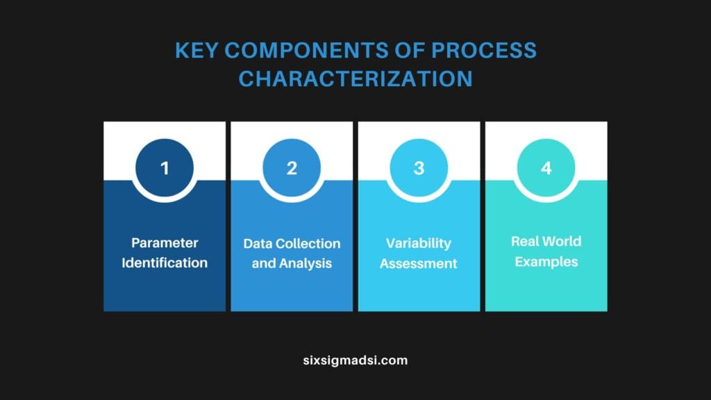 What are the key components of process characterization?