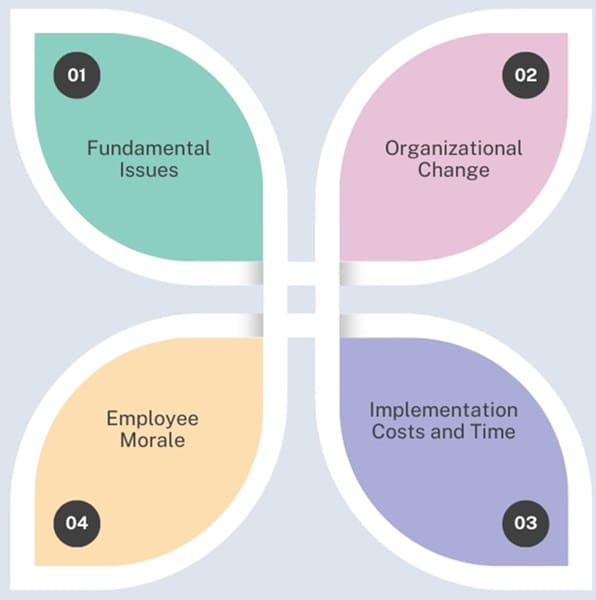 Issues in ERP Implementation