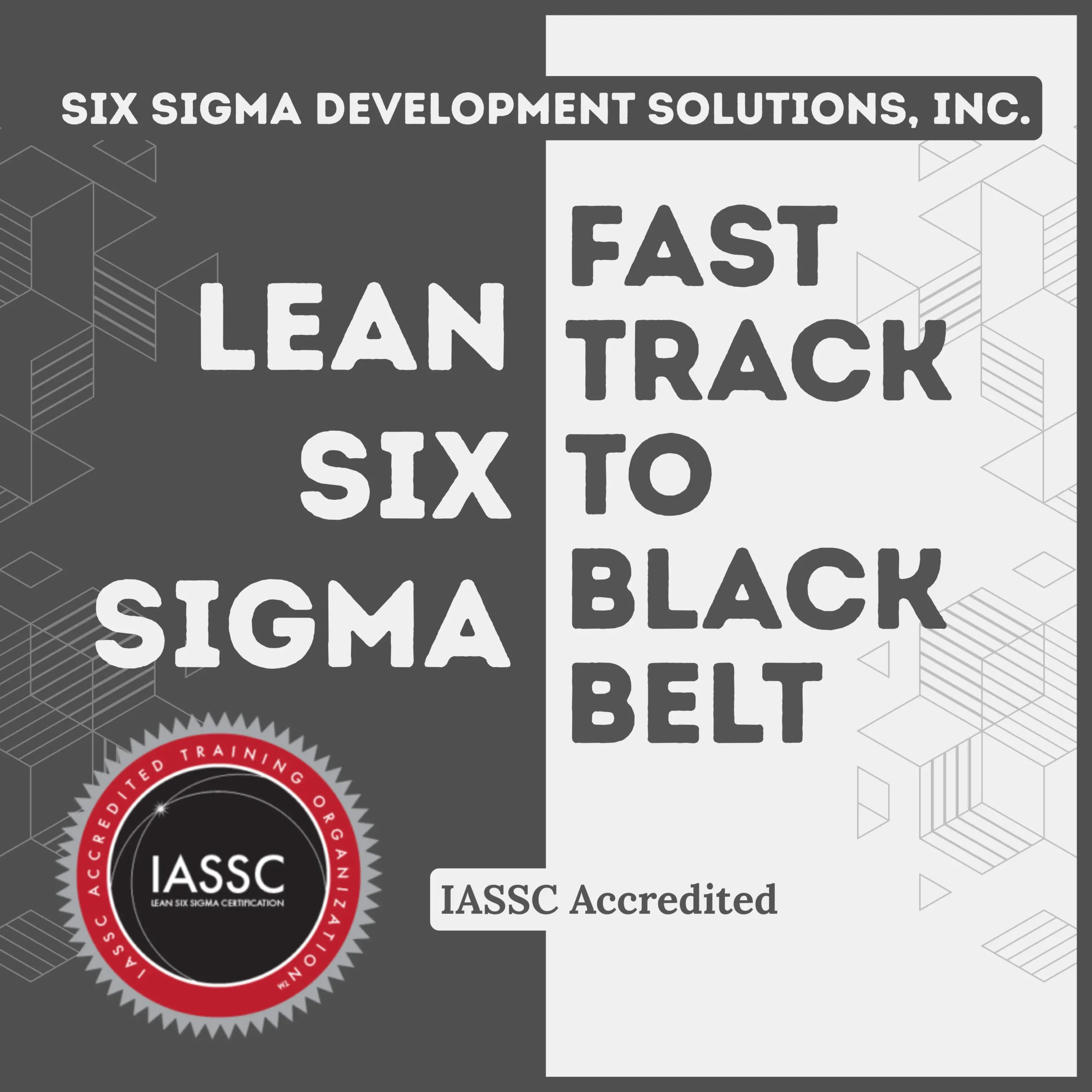 Fast Track to Black Belt Product Image