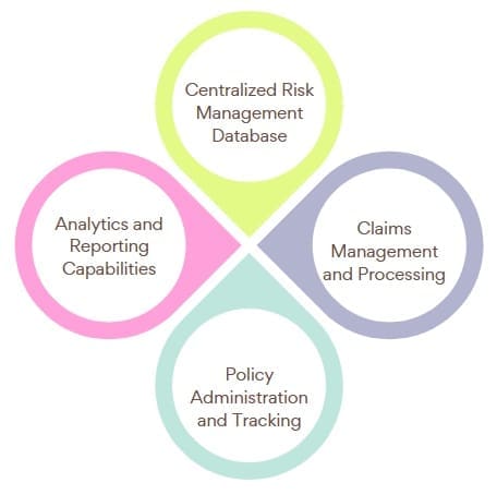 Core Components and Features of RMIS Systems