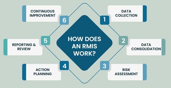 How Does an RMIS Work?
