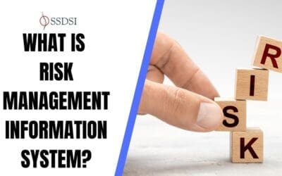 Risk Management Information System