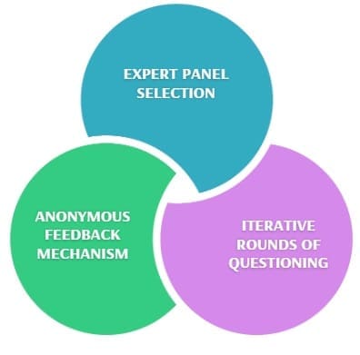 Core Components of the Delphi Process