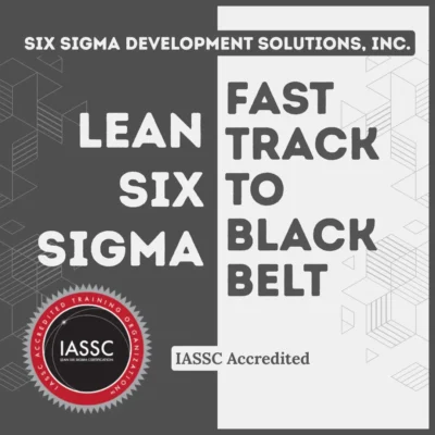 Fast Track to Black Belt Product Image