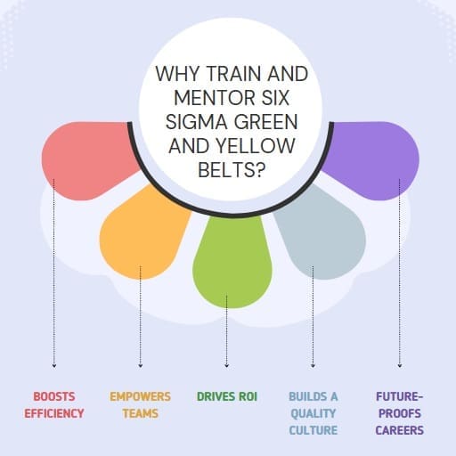 Why Train and Mentor Six Sigma Green and Yellow Belts