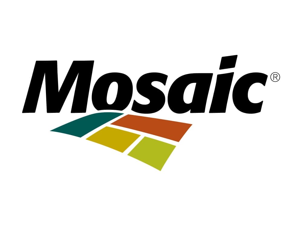 Mosaic Logo for Tampa City Page