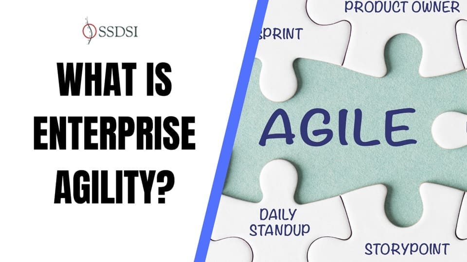 What is Enterprise Agility?