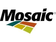 Mosaic Logo for Tampa City Page