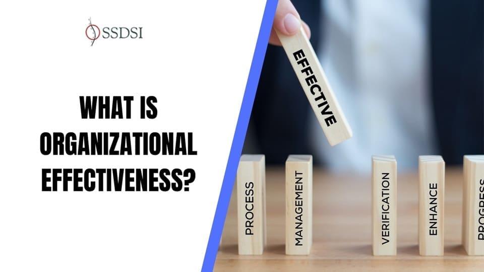 What is Organizational Effectiveness?