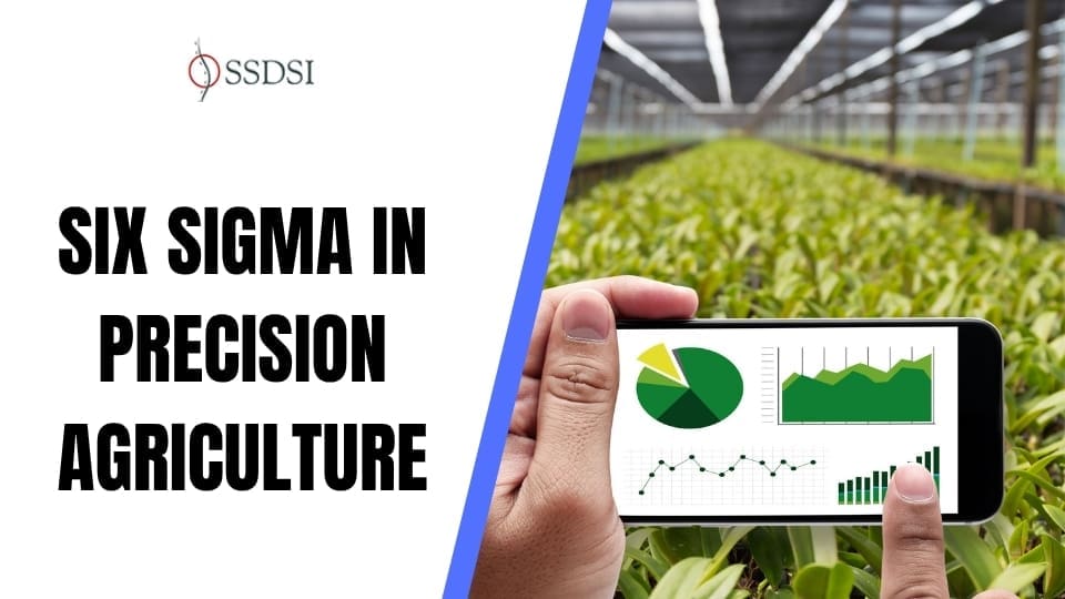 Six Sigma in Precision Agriculture to Maximize Crop Yields