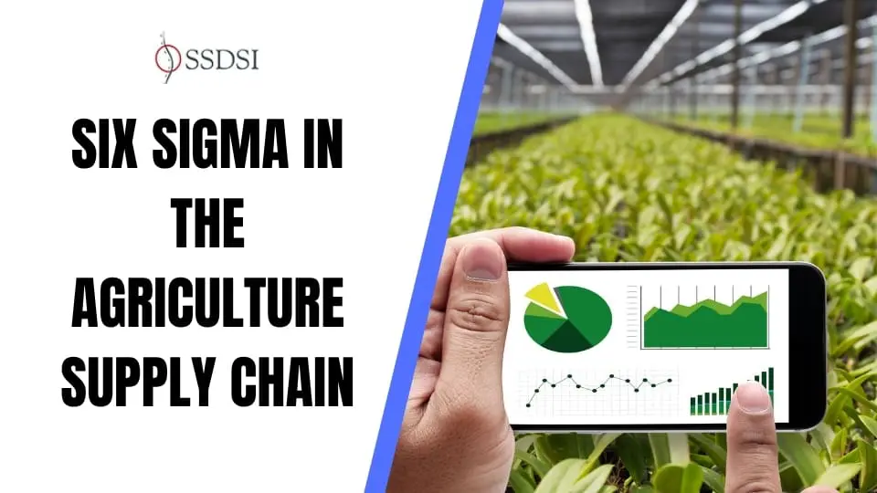 Six Sigma in Agriculture Supply Chain: Saving Your Profits from Harvest to Home